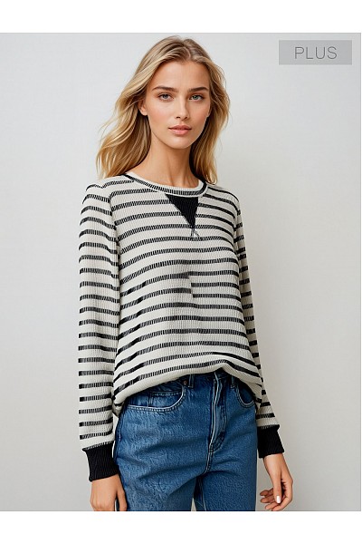 PT11612PLUS STRIPED URBAN RIB KNIT SWEATER 